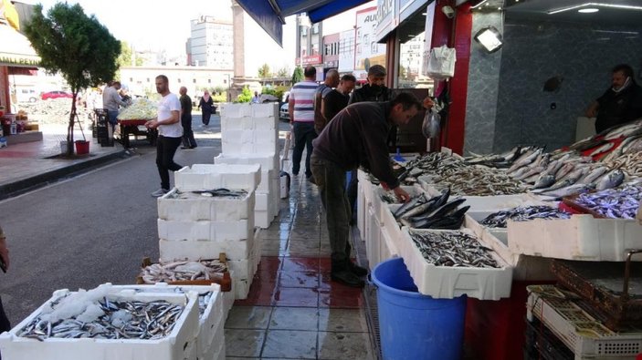 Samsun'da son zamanların en bereketli balık sezonu yaşanıyor