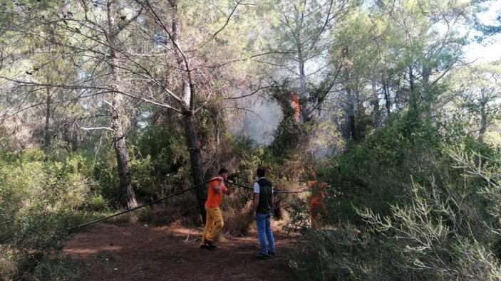 Antalya'da orman yangını girişiminde bulunan şahıs yakalandı