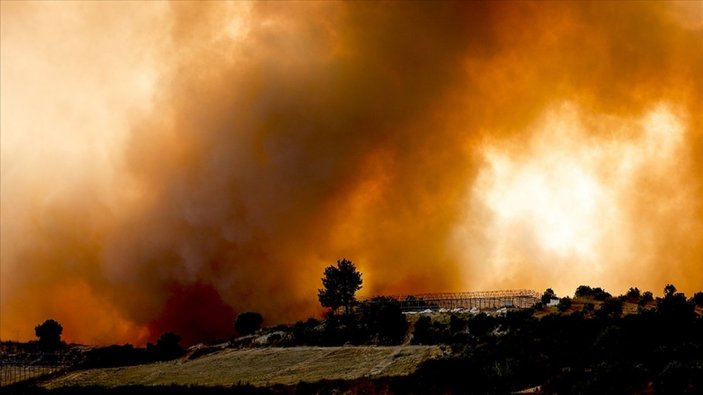 Antalya ve Muğla'da yangından zarar gören 1100 bina yıkıldı