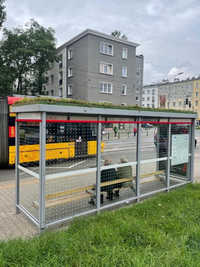 Polonya'da otobüs duraklarının çatıları yeşillendi