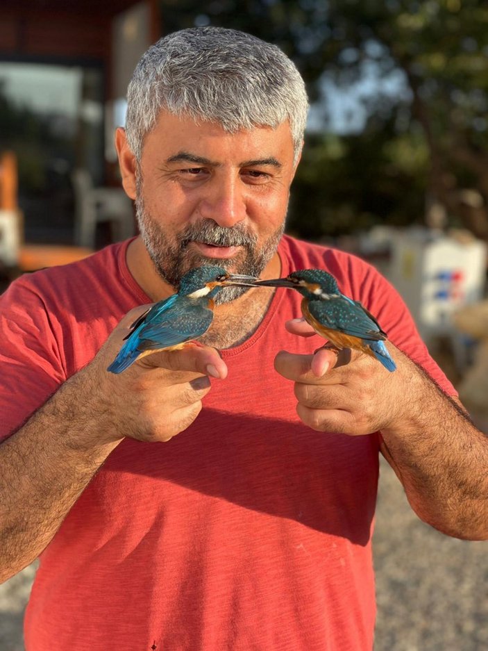 Antalya’da, kalbi duran kuşlar jandarmanın müdahalesi ile hayata döndü