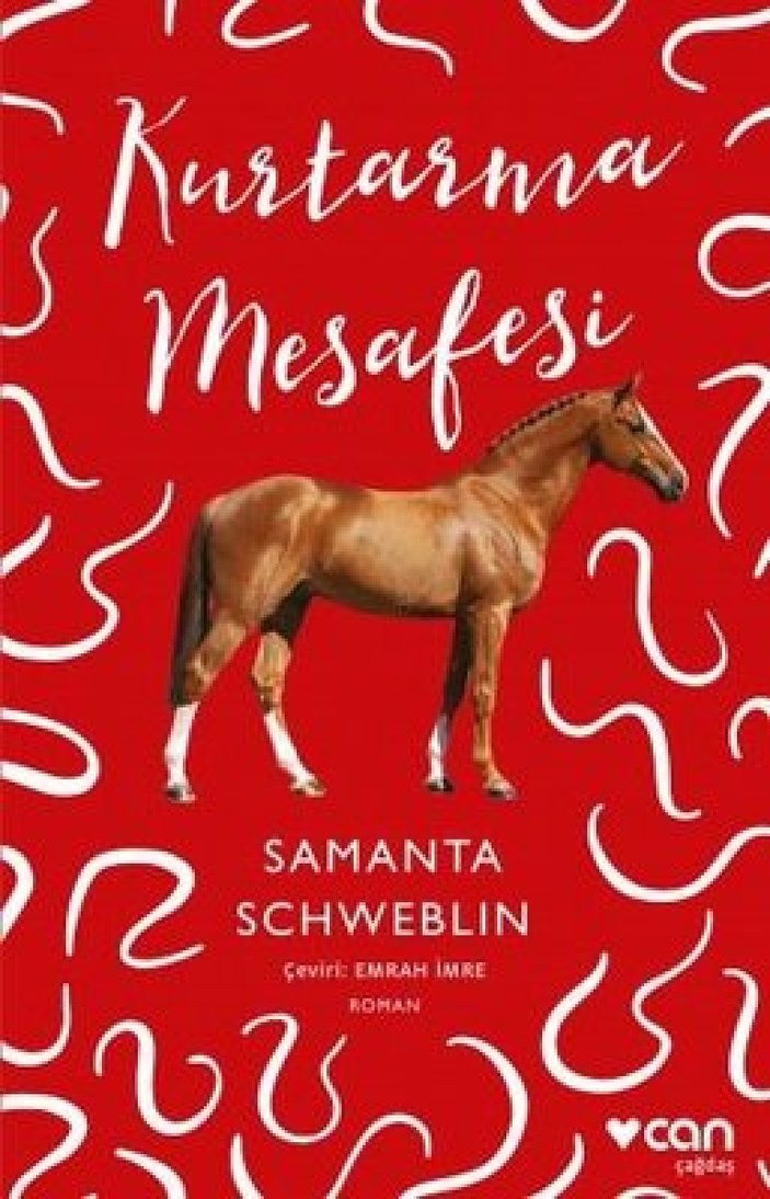 Samanta Schweblin’in ilk romanı Kurtarma Mesafesi, filme uyarlandı