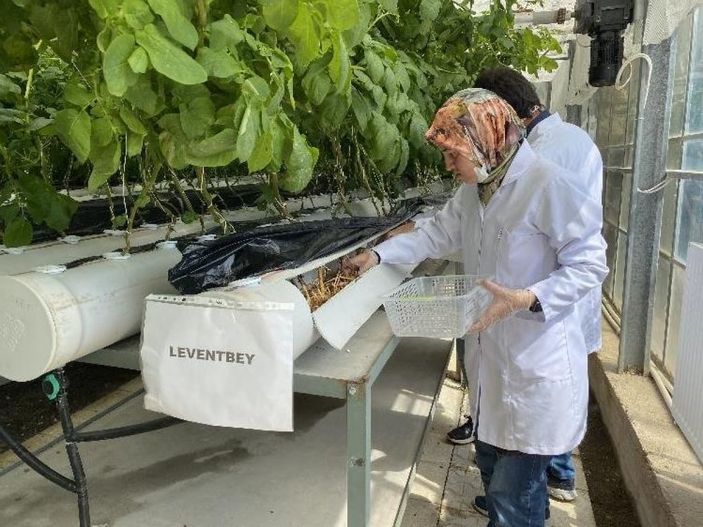 Suda, havada ve karada patates üretiliyor