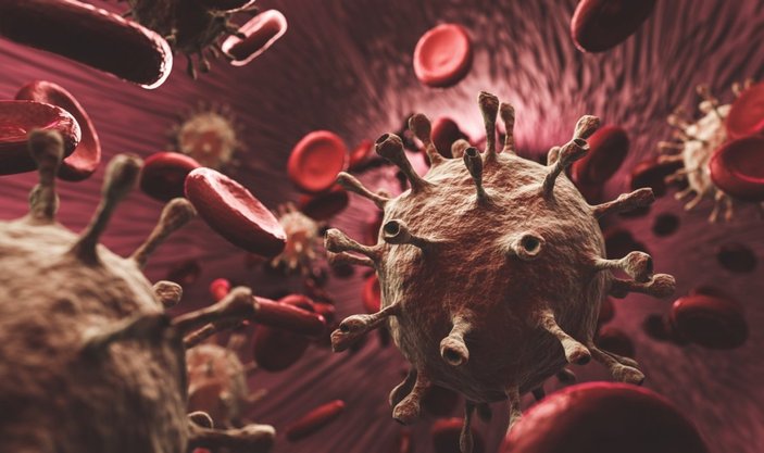 Beyaz kan hücrelerini artırmanın 10 doğal yolu