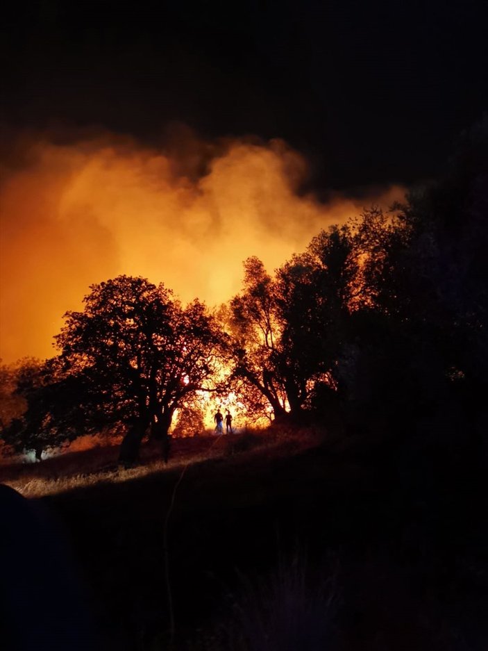 Bodrum'da çıkan yangın söndürüldü