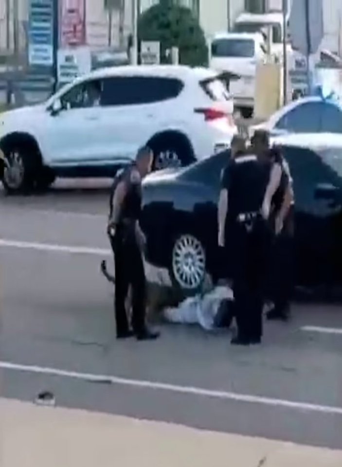 ABD polisi, köpeğini siyahi adama saldırttı