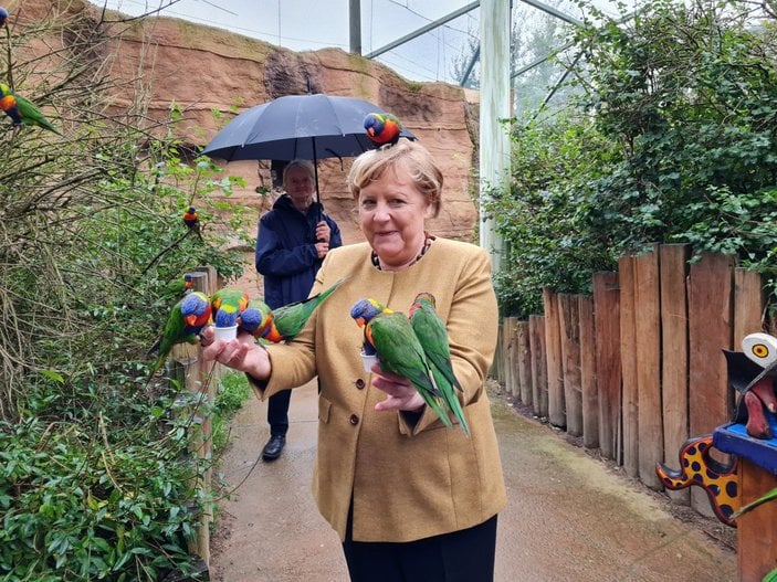 Görevi bırakmaya hazırlanan Angela Merkel, kuş parkını ziyaret etti