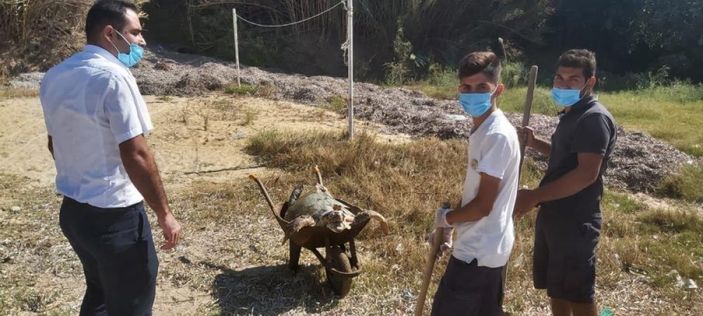 Muğla'da deniz kirliliği caretta carettanın ölümüne neden oldu