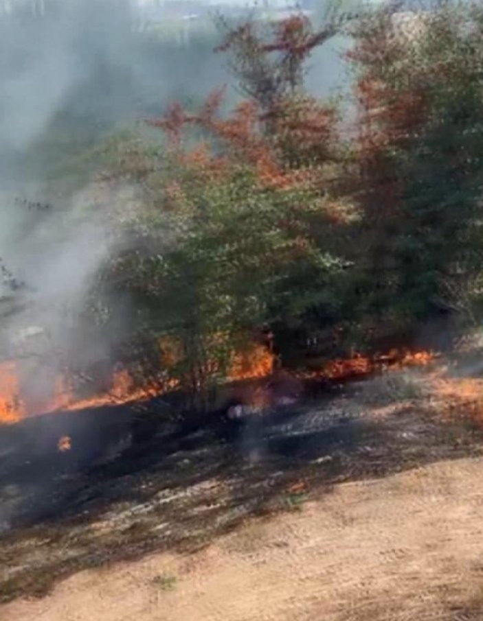 Bayrampaşa'da ağaçlık alanda yangın çıktı
