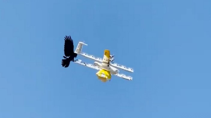 drone kuş