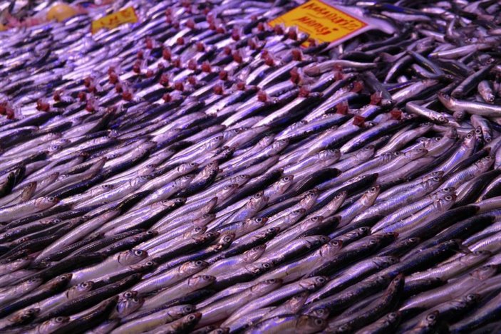 Eskişehir'de tezgahtaki balıklar soğuk havaları bekliyor
