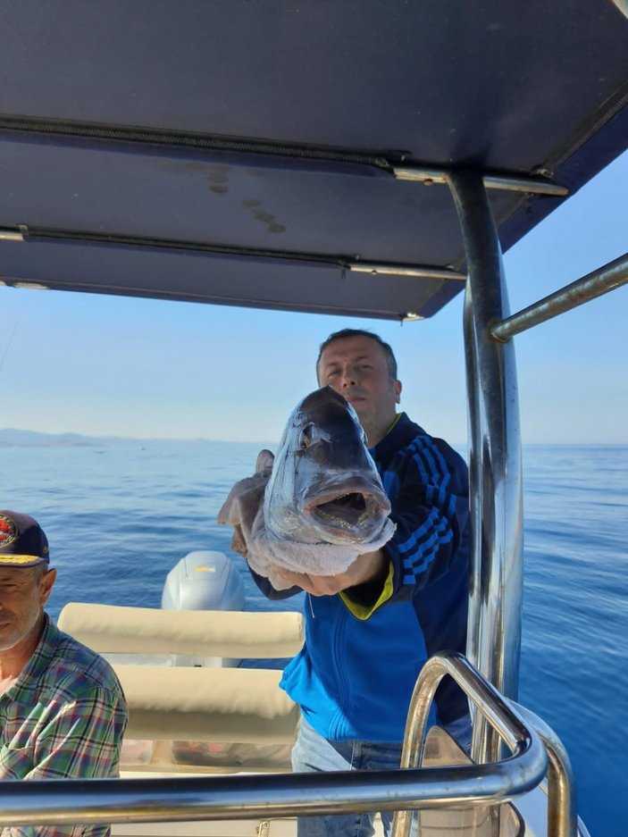 Çanakkale'deki amatör balıkçı, 10 kiloluk balık yakaladı