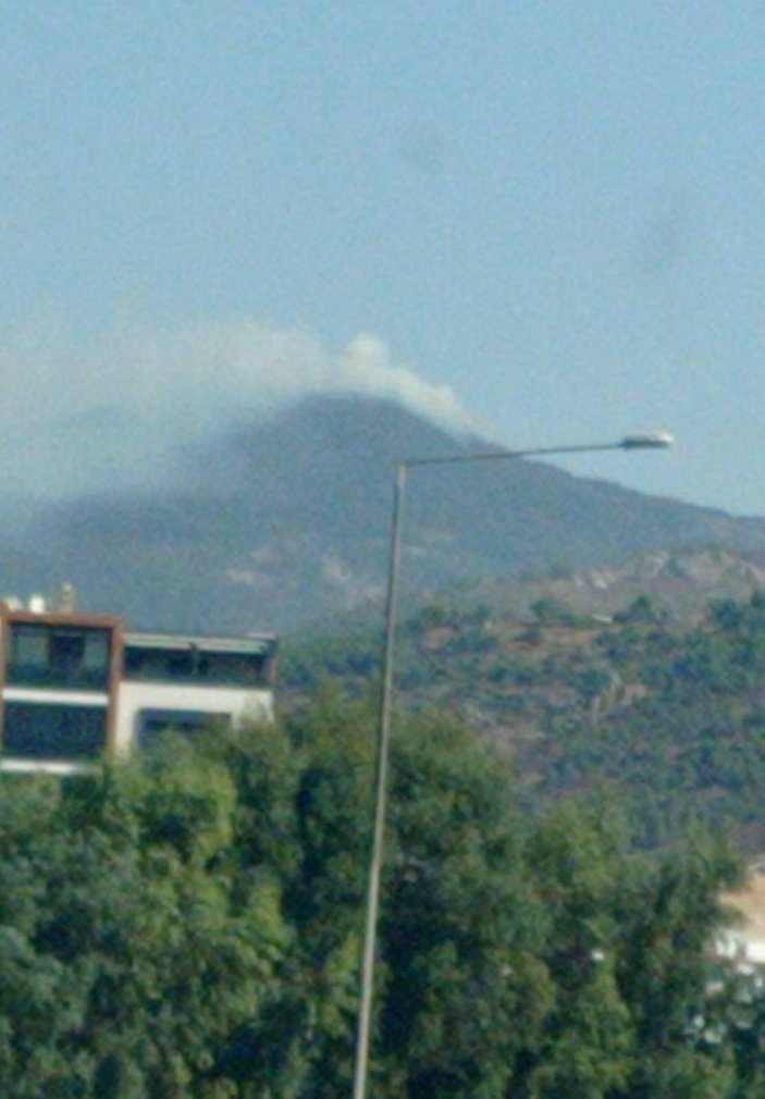 İzmir'de orman yangını: Ekipler müdahale ediyor