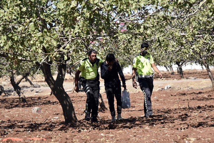 Şanlıurfa’da, fıstık bahçesinde 17 kaçak göçmen yakalandı