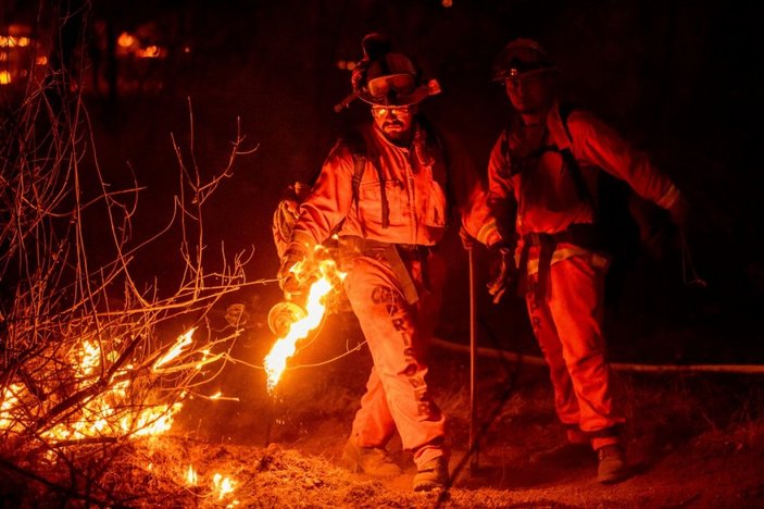 Kaliforniya'daki yangında ayı idrarı için yaktığı ateş sorumlu tutuldu