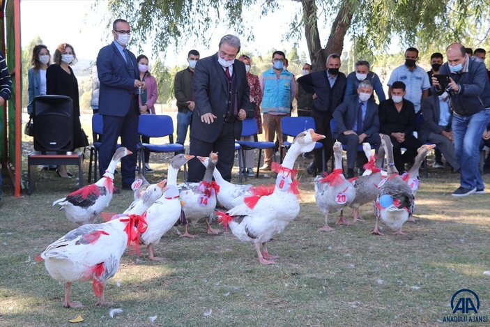 Kütahya'da ilk kez 'Kaz Festivali' düzenlendi