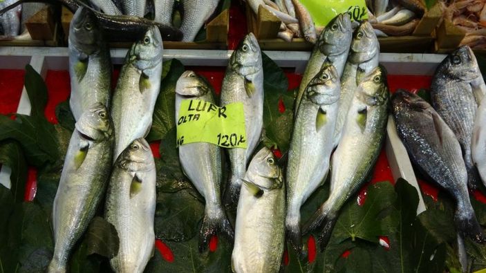 i Çanakkale’de tezgahlarda lüfer bolluğu yaşanıyor