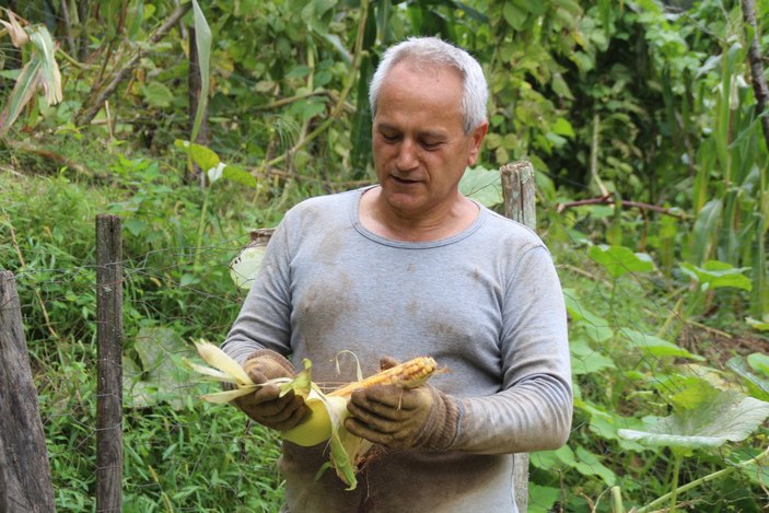 Myanmar’a gidemeyen büyükelçi, Rize’de bahçe işleri ile uğraşıyor