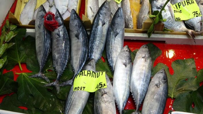 i Çanakkale’de tezgahlarda lüfer bolluğu yaşanıyor