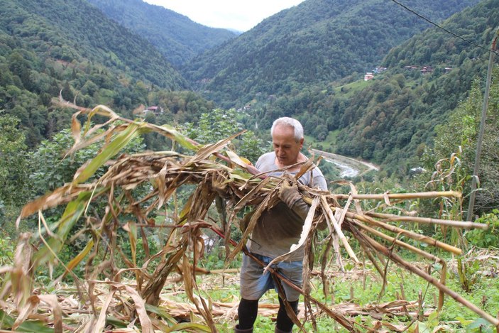 Myanmar’a gidemeyen büyükelçi, Rize’de bahçe işleri ile uğraşıyor