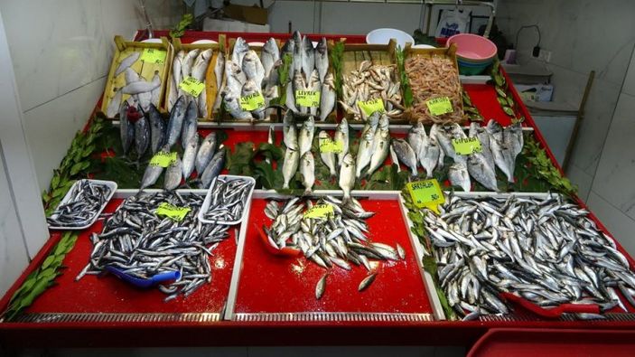 i Çanakkale’de tezgahlarda lüfer bolluğu yaşanıyor