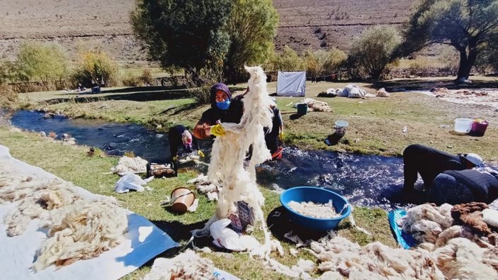 Erzurumlu kadınlar, akarsu kenarlarında yün yıkama mesaine başladı