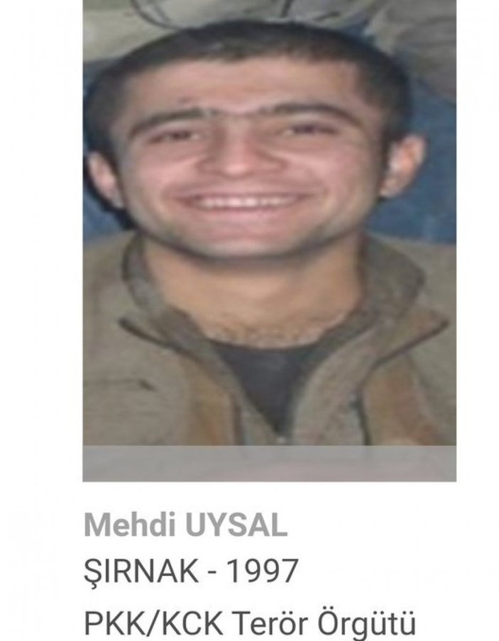 Gri kategoride aranan terörist Mehdi Uysal, Şırnak'ta öldürüldü