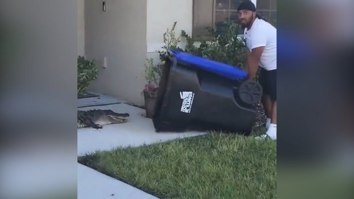 ABD'de evinin bahçesine giren timsahı çöp bidonuyla yakaladı