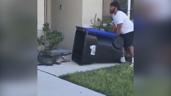 ABD'de evinin bahçesine giren timsahı çöp bidonuyla yakaladı