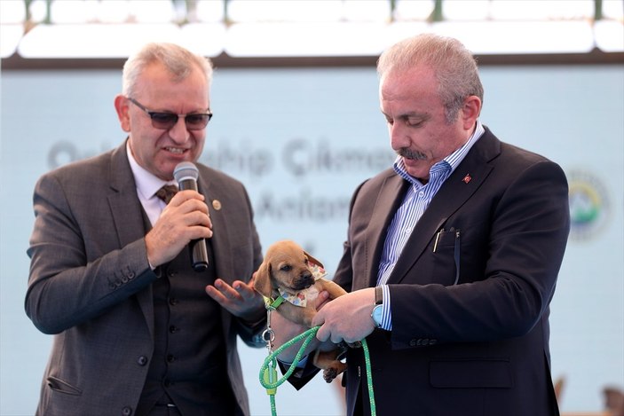 TBMM Başkanı Mustafa Şentop’a, sokak köpeği hediye edildi