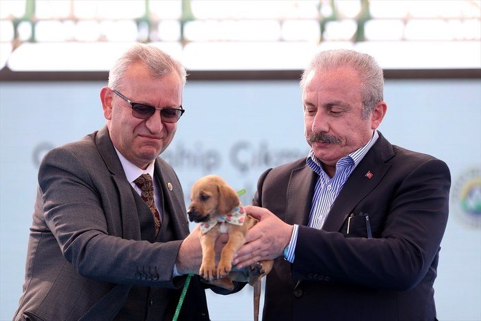 TBMM Başkanı Mustafa Şentop’a, sokak köpeği hediye edildi