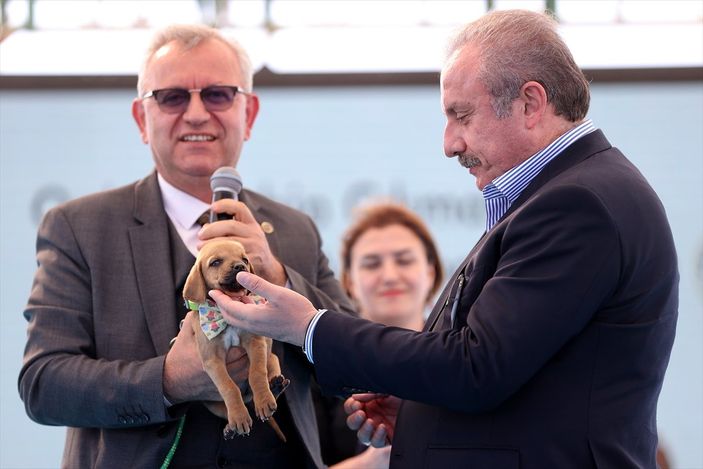 TBMM Başkanı Mustafa Şentop’a, sokak köpeği hediye edildi