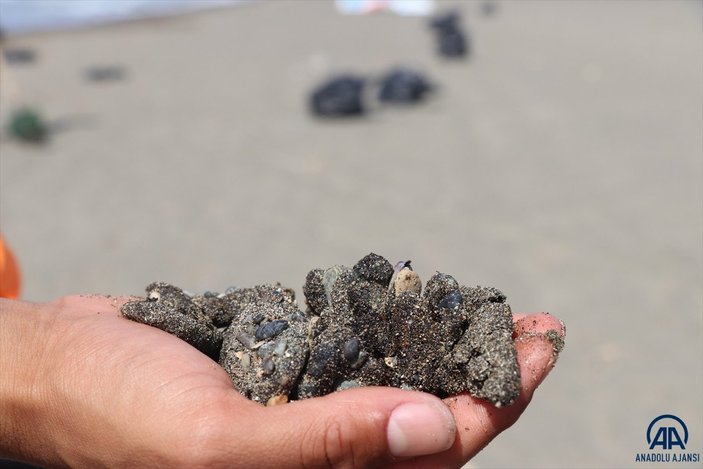 Hatay sahillerinde petrol sızıntısı temizliği sürüyor