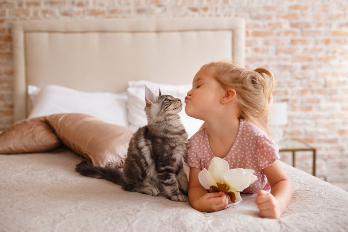 Hayvan sevgisinin çocuklar üzerindeki iyileştirici etkileri
