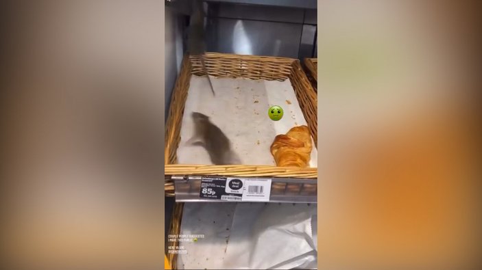 İngiltere'de market zincirini fareler istila etti