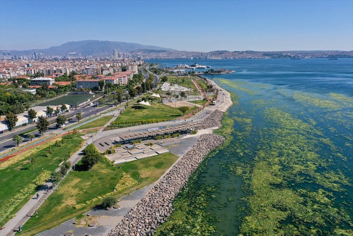 İzmir'de sahil yosunlarla kaplandı