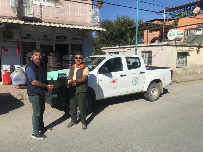 İ Vampir yarasalar Mersinli muhtarın kabusu oldu