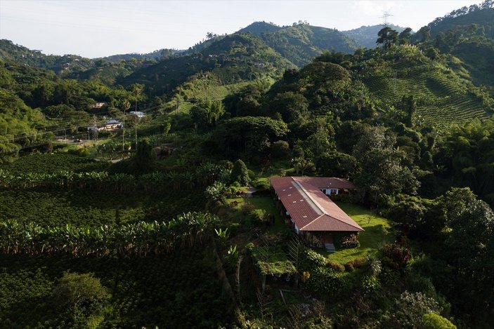 Kolombiya'daki kahve diyarı Manizales'in eşsiz doğası