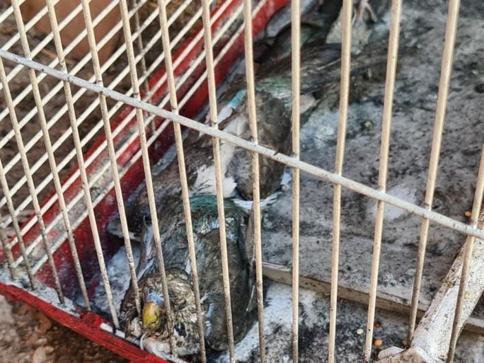 i Antalya'da kapısında Sosyal Hizmetleri gören kadın çocuklarını rehin aldı