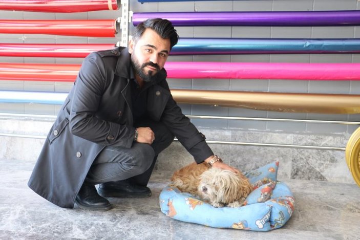 Sivas'ta otomobiliyle çarptığı köpekleri ölüme terk etti