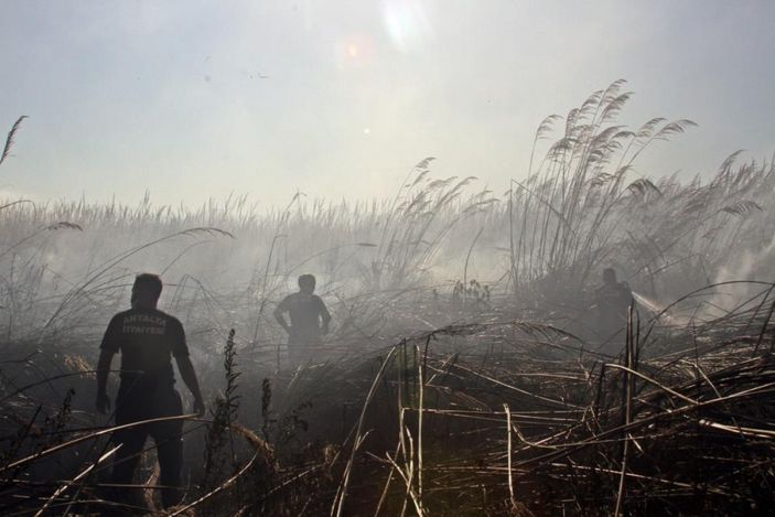 i Antalya'da sazlık alanda çıkan yangın kontrol altına alındı