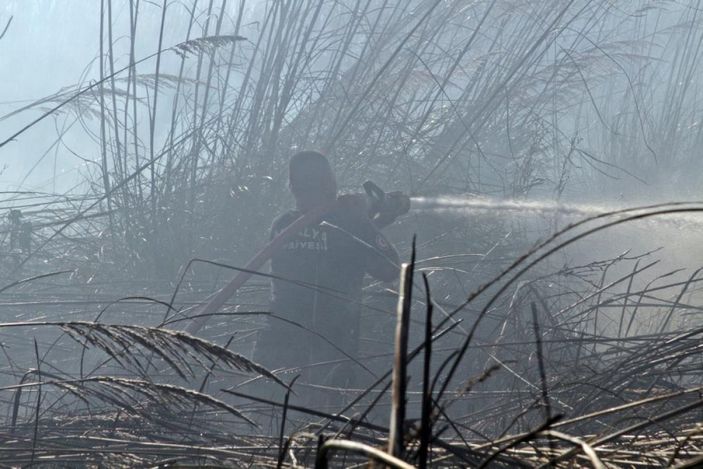 i Antalya'da sazlık alanda çıkan yangın kontrol altına alındı
