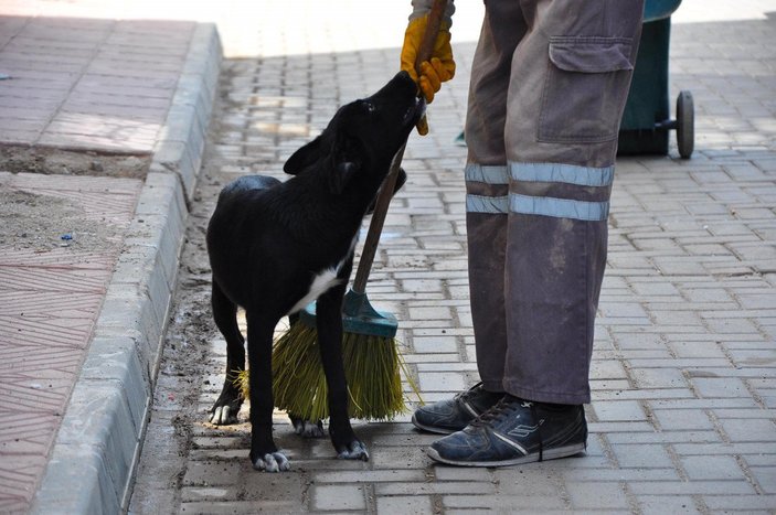 Manisa’da, temizlik işçisi ile sokak köpeğinin samimi dostluğu