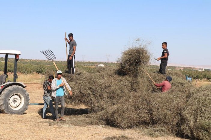 Gaziantep'te nane hasadı sürüyor