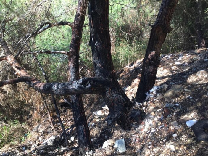 Adana'da iki kardeş ormanlık alanda yangın çıkardı