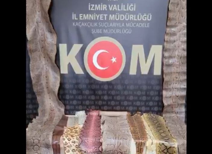 i İzmir’de, kaçak yılan derileri ele geçirildi