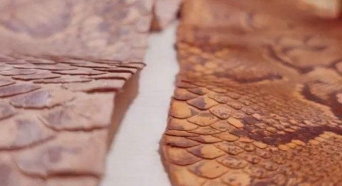 i İzmir’de, kaçak yılan derileri ele geçirildi