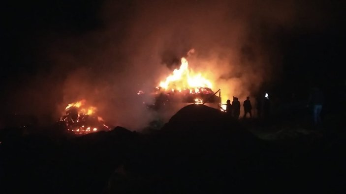 Erzurum'daki yangın  2 ev, 5 ahır ve 1 kileri kül etti