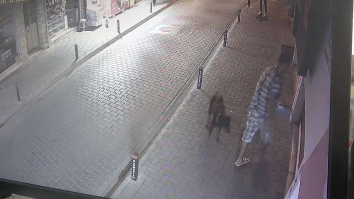 d Muğla’da, dükkanın önündeki mama kaplarını çaldı