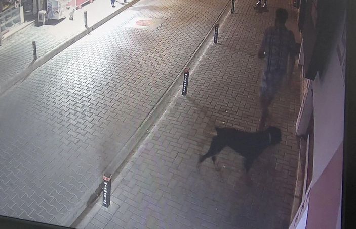 d Muğla’da, dükkanın önündeki mama kaplarını çaldı